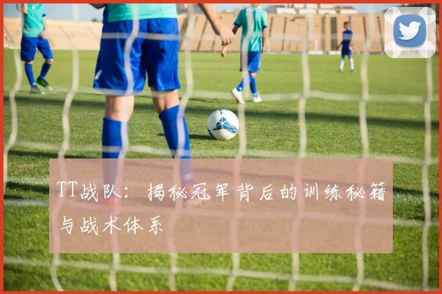 TT战队：揭秘冠军背后的训练秘籍与战术体系