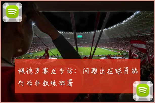 佩德罗赛后专访：问题出在球员执行而非教练部署