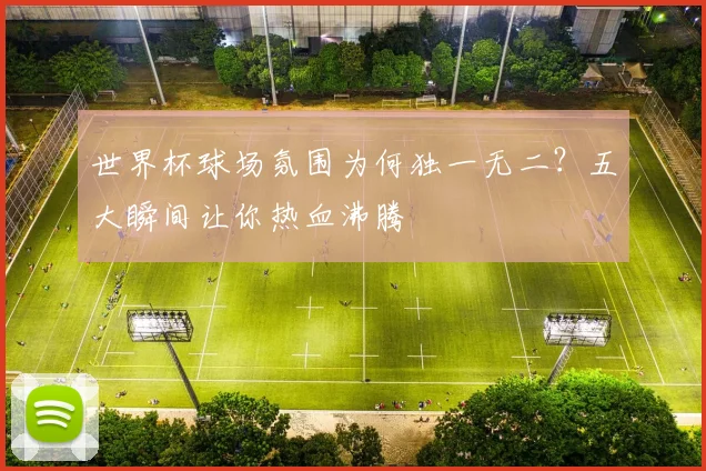 世界杯球场氛围为何独一无二？五大瞬间让你热血沸腾