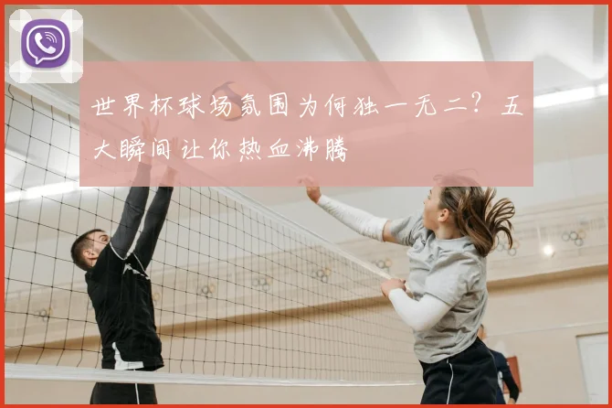 世界杯球场氛围为何独一无二？五大瞬间让你热血沸腾
